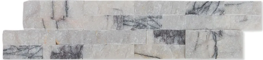 Black Spider Panel